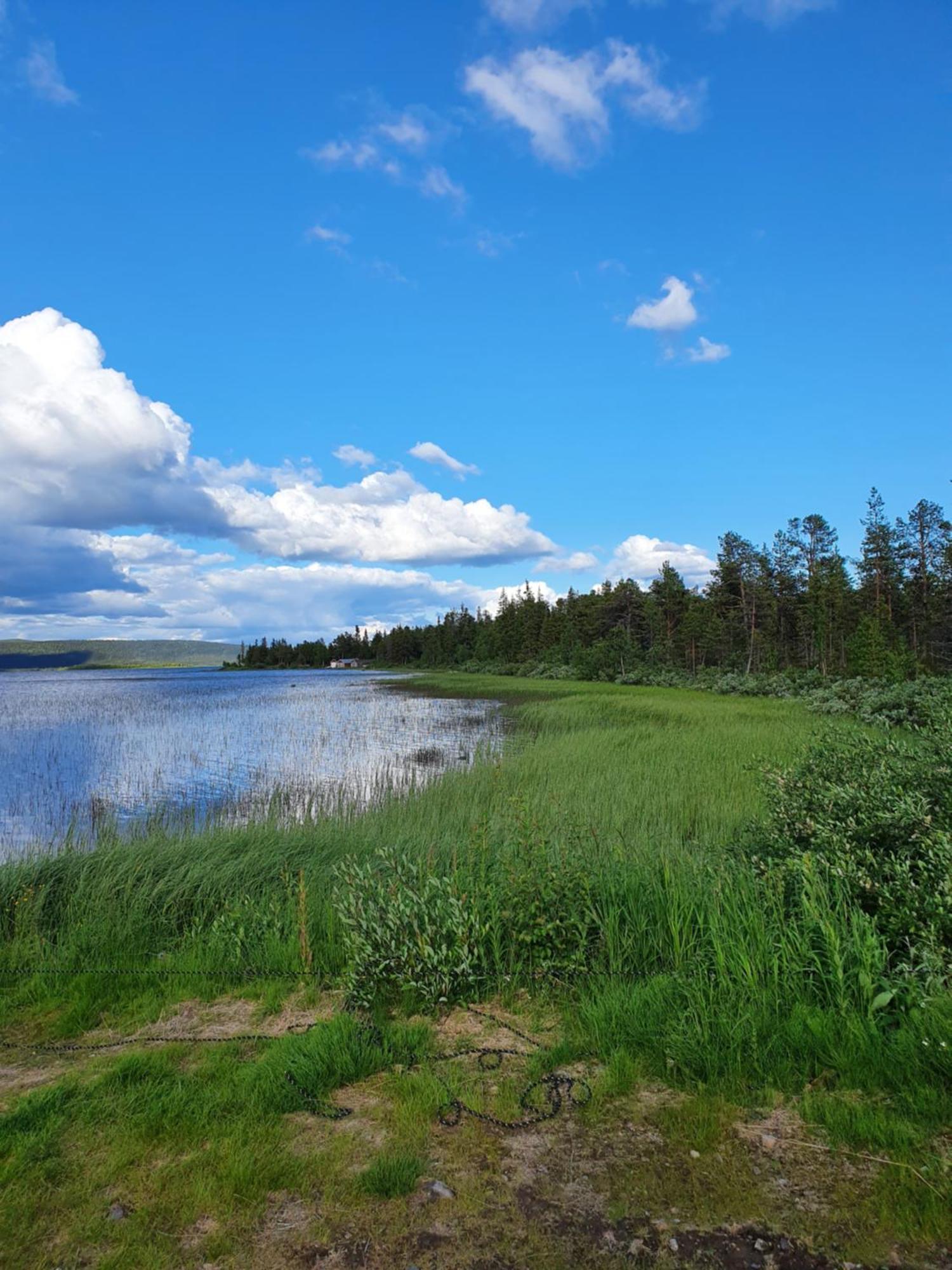 Camp Caroli Wooden Cabins Jukkasjarvi Bagian luar foto